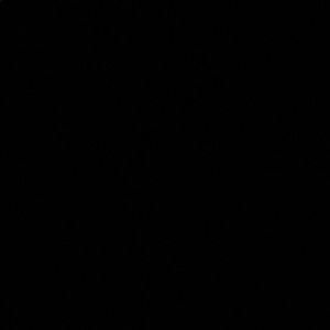 Meet your Posher, Serena